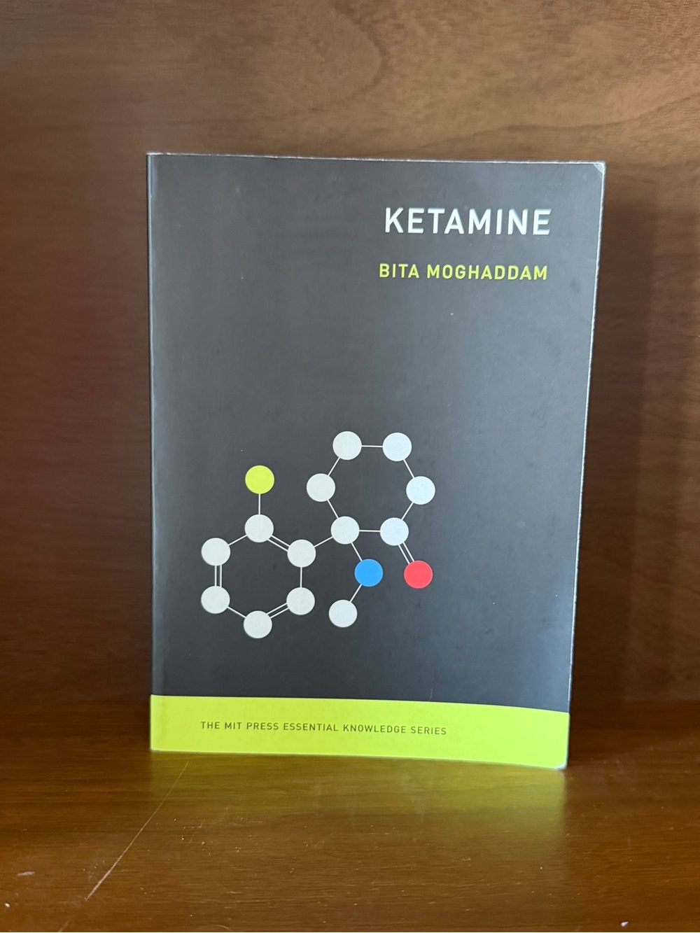 Ketamine Book by Bita Moghaddam Paperback